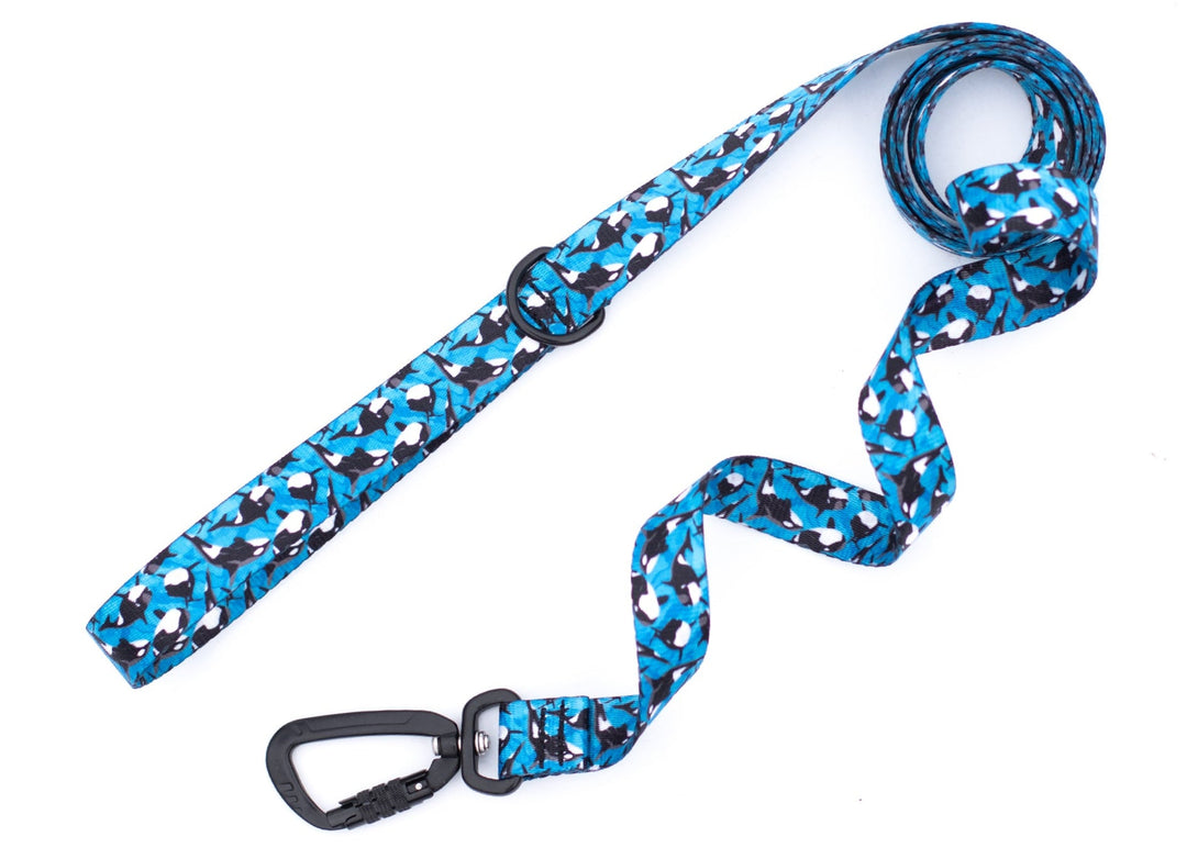 Orca Dog Leash | Stylish & Durable Ocean Pet Gear
