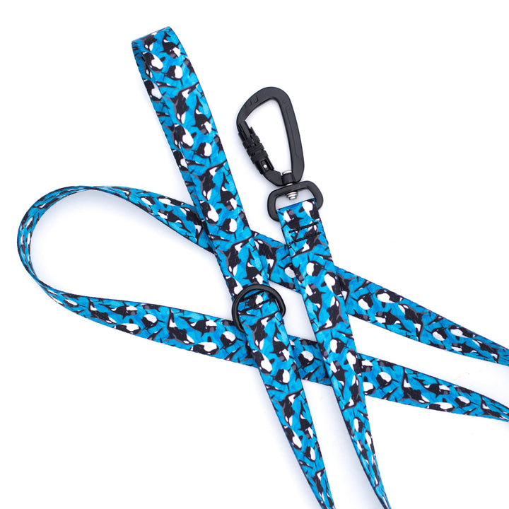 Orca Dog Leash | Stylish & Durable Ocean Pet Gear