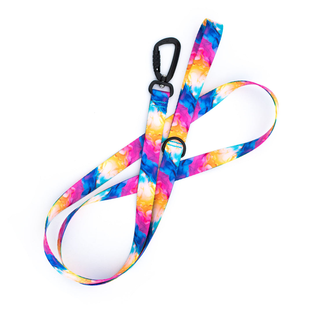Vibrant Rainbow Dog Leash | SeaFlower Co