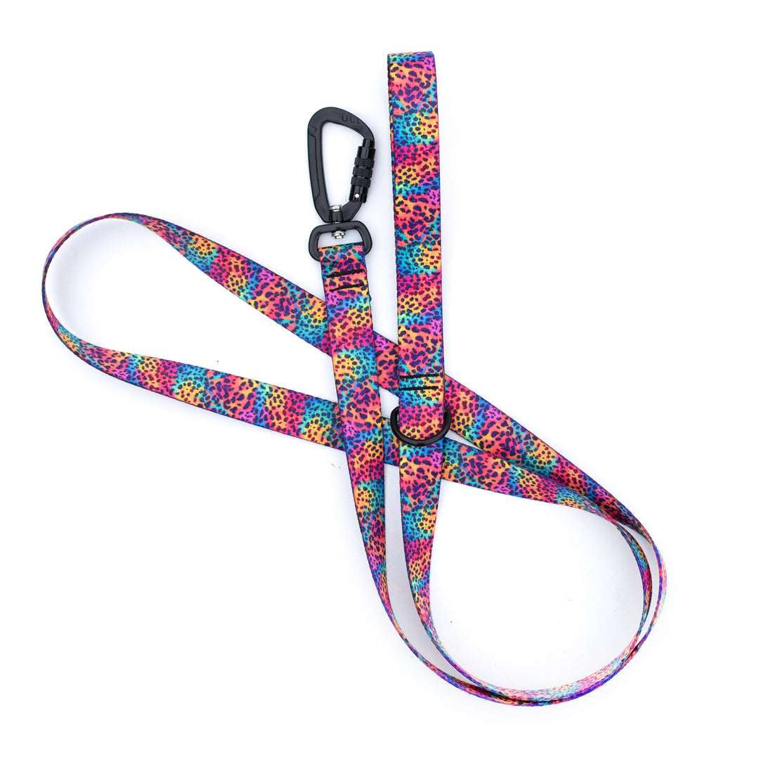 Rainbow Leopard Spots Dog Leash | Stylish & Durable Floral Dog Gear