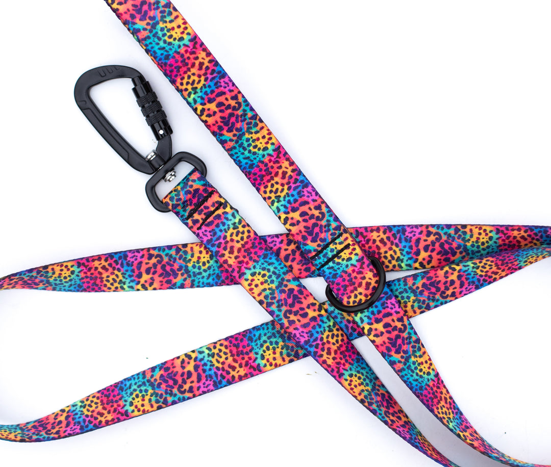 Rainbow Leopard Spots Dog Leash | Stylish & Durable Floral Dog Gear