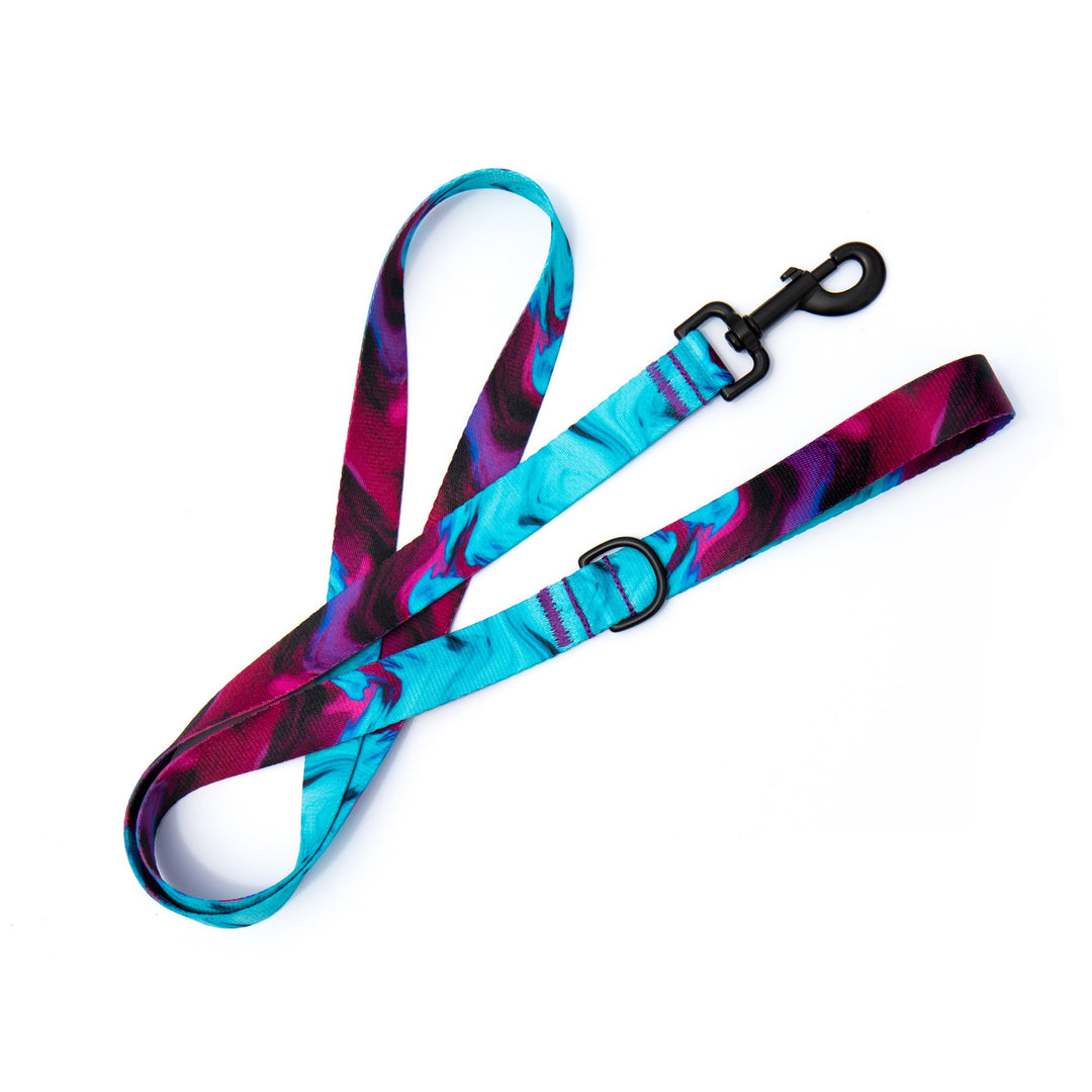 Abstract Dog Leash