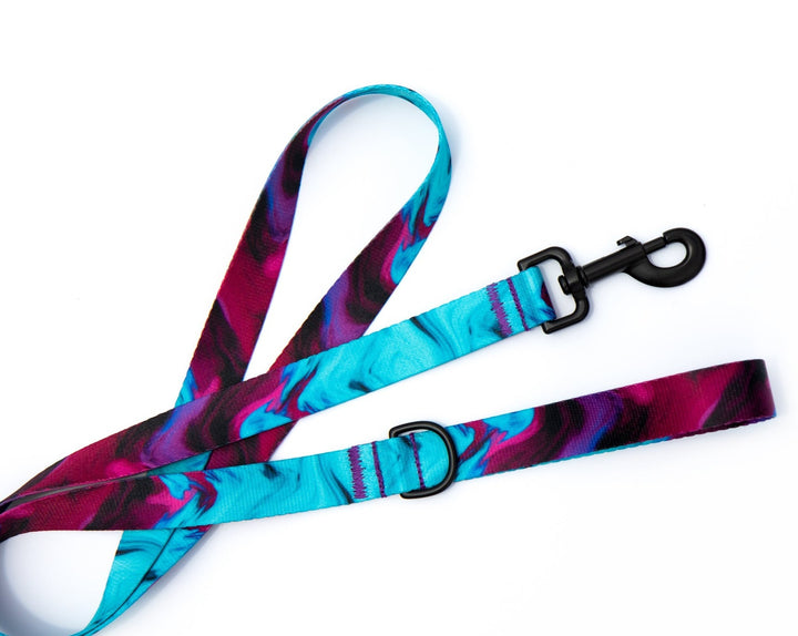 Abstract Dog Leash