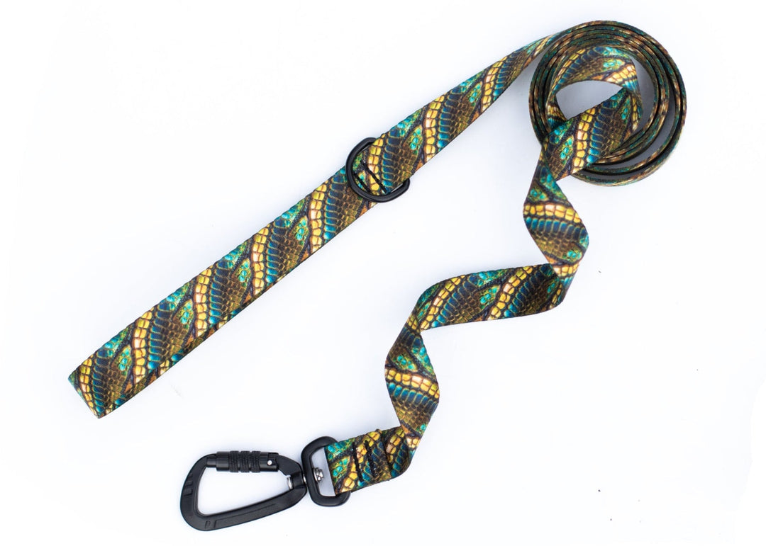 Dragon Scales Dog Leash | Unique Pet Gear