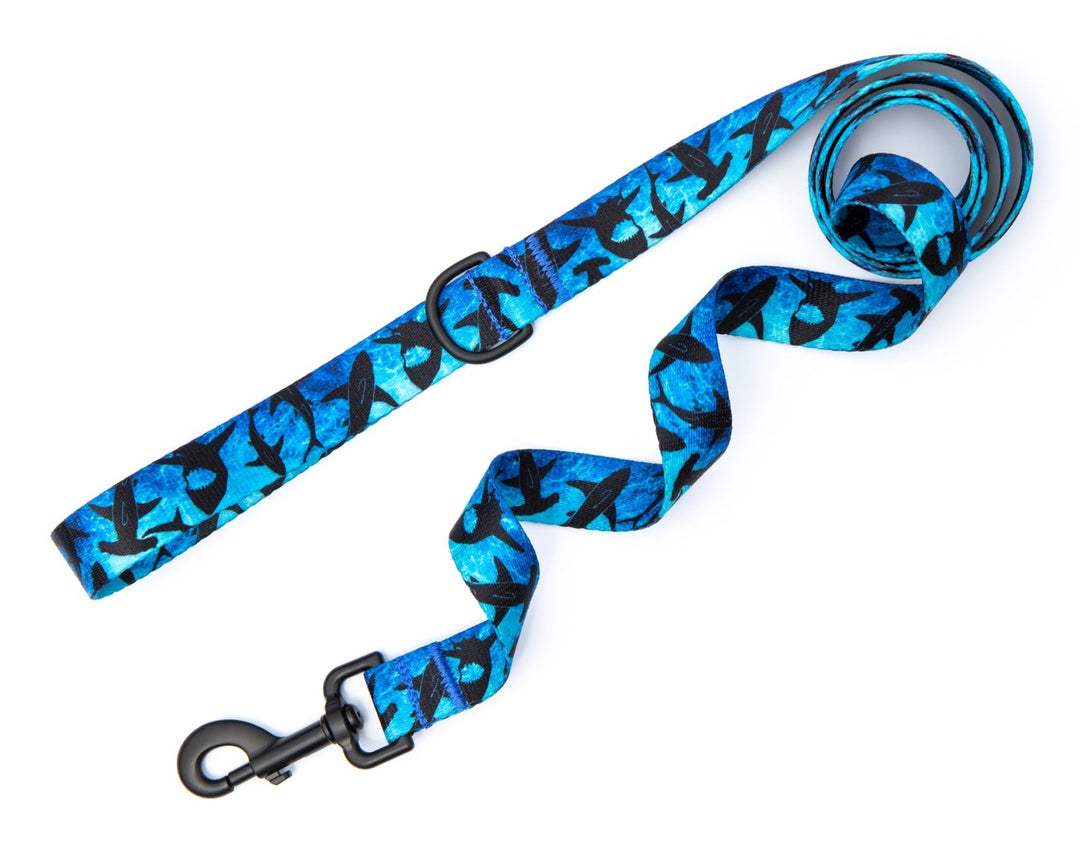 Shark Dog Leash | SeaFlower Co