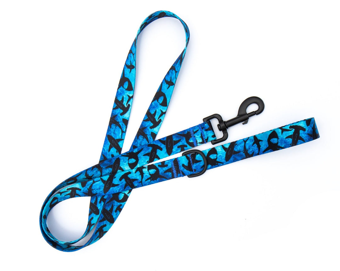 Megladon Leash
