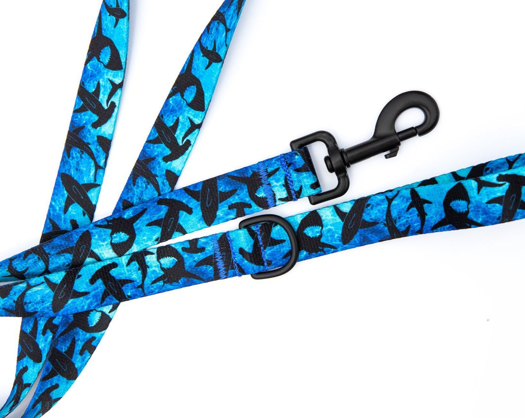 Shark Dog Leash | SeaFlower Co