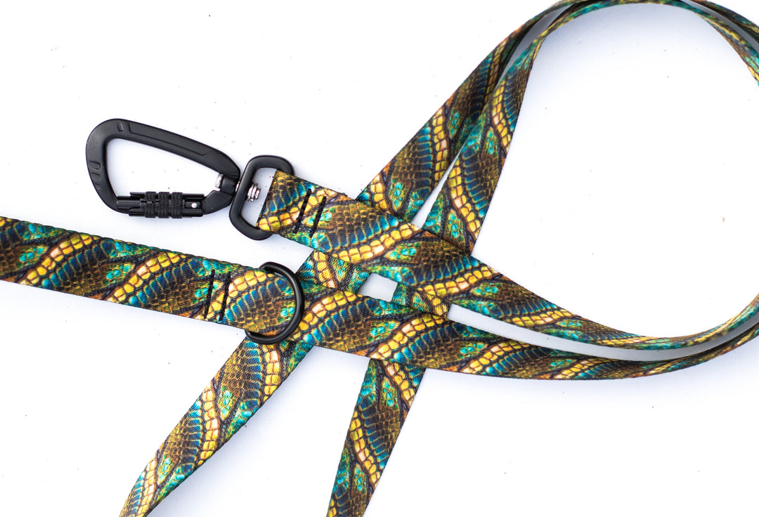 Dragon Scales Dog Leash | Unique Pet Gear