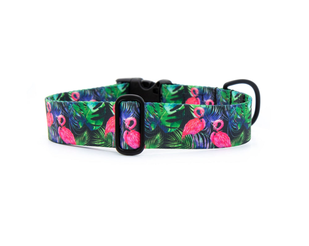 Tropical Flamingo Dog Collar