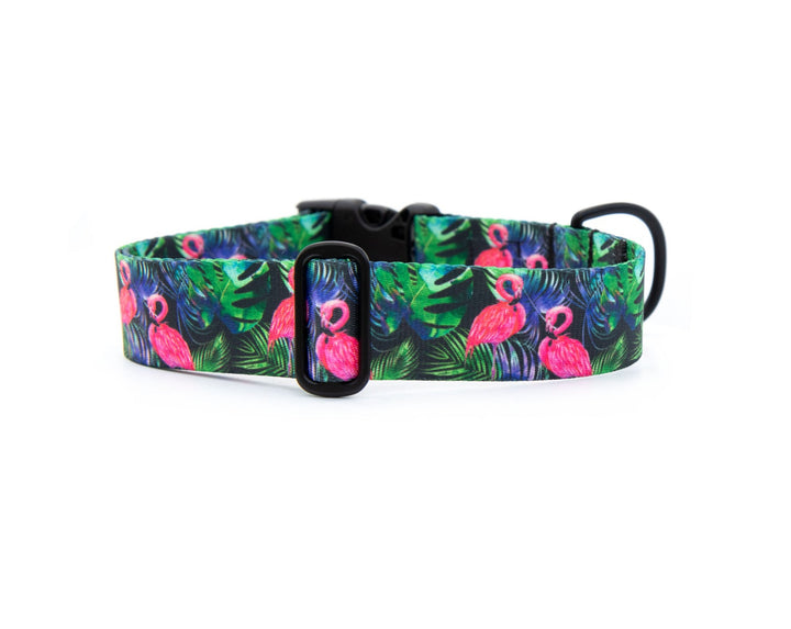 Tropical Flamingo Dog Collar