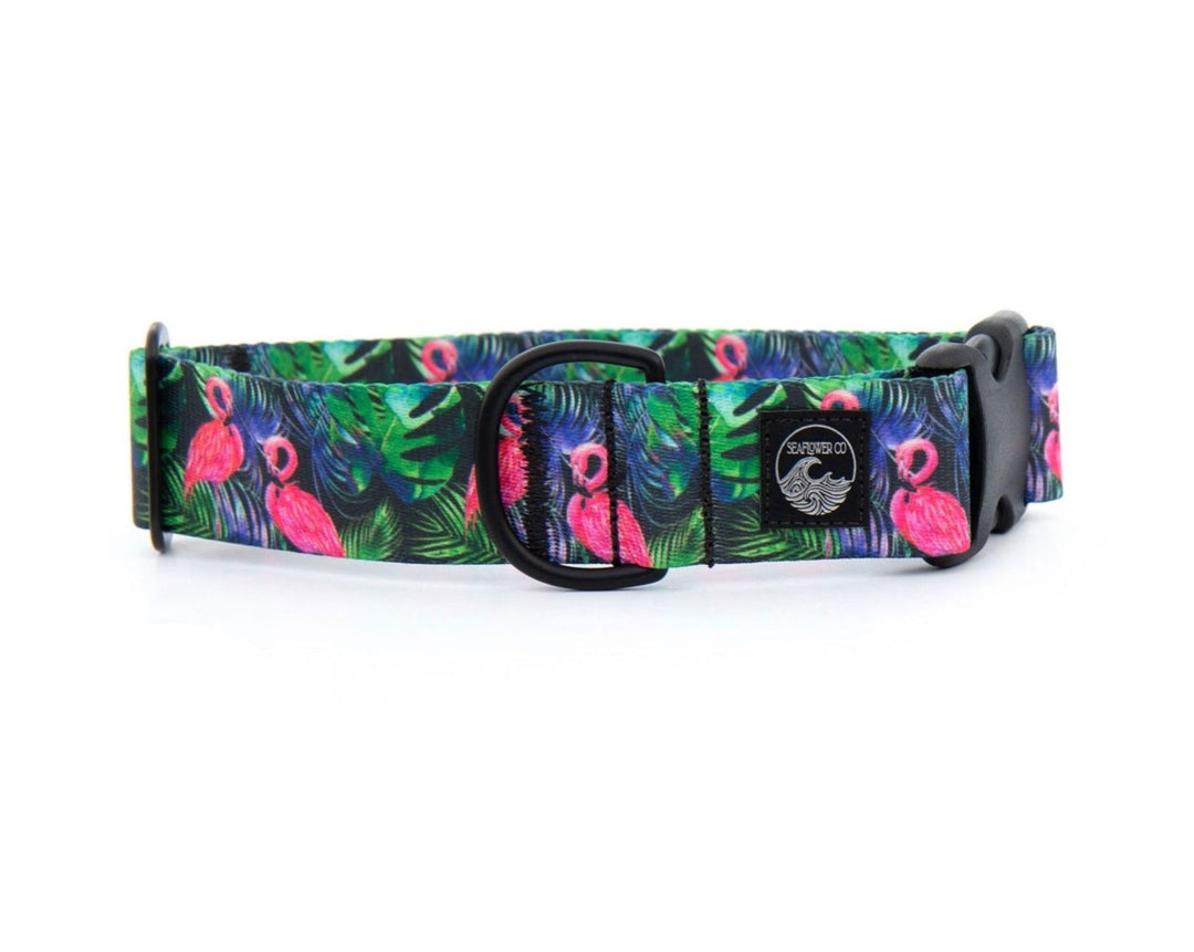 Tropical Flamingo Dog Collar