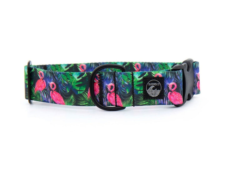 Tropical Flamingo Dog Collar