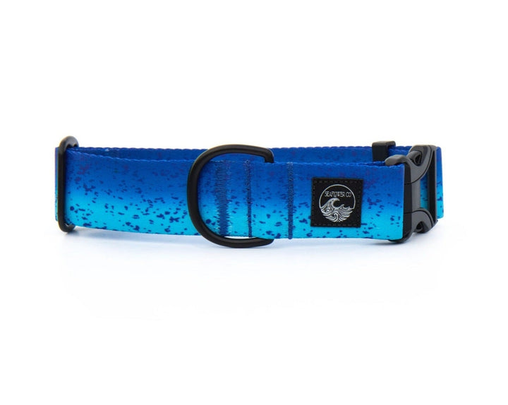 Blue Mahi Dog Collar | SeaFlower Co