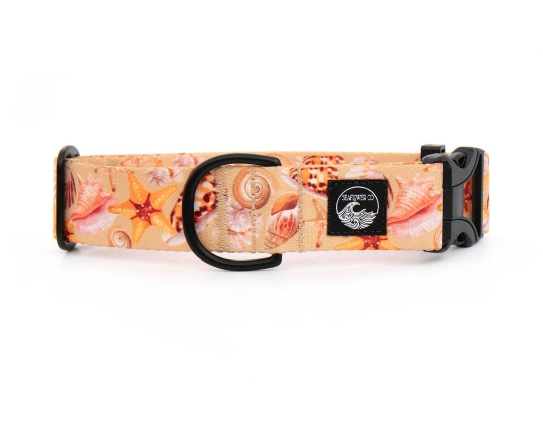 Seashell Dog Collar | SeaFlower Co
