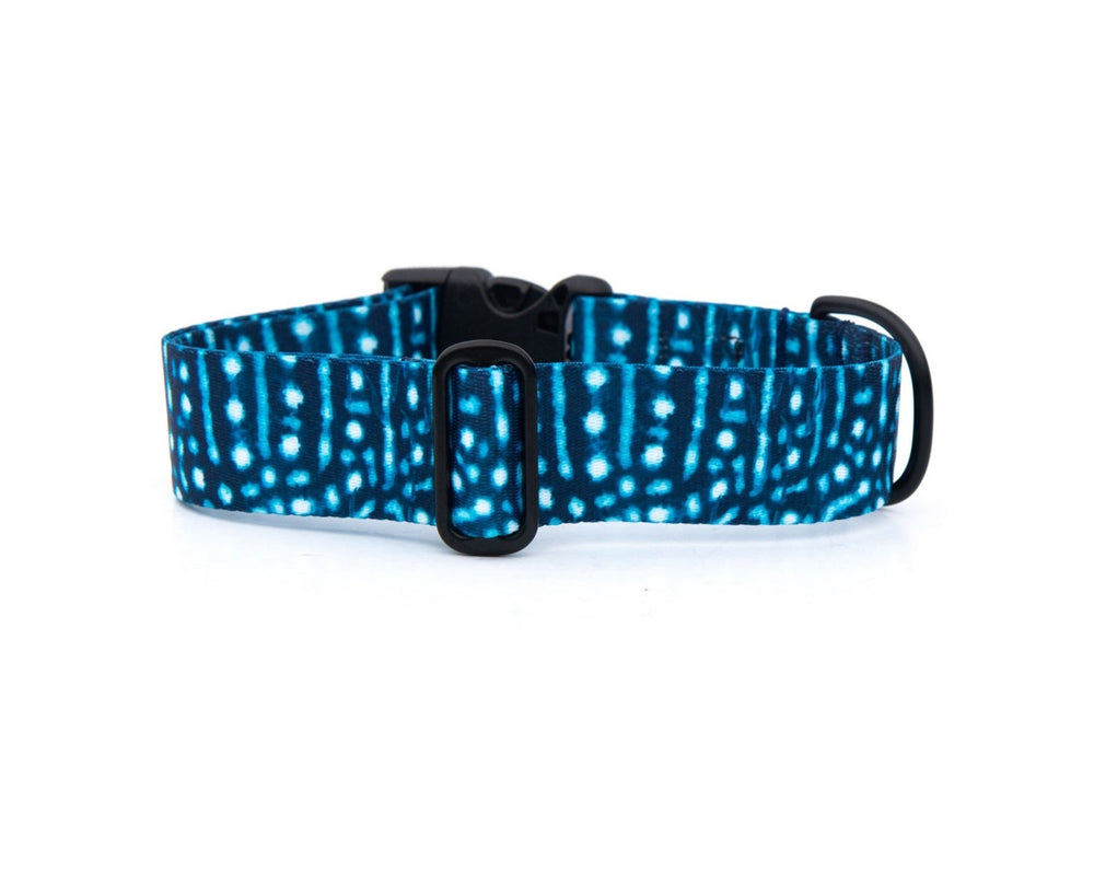 Whale Shark Dog Collar