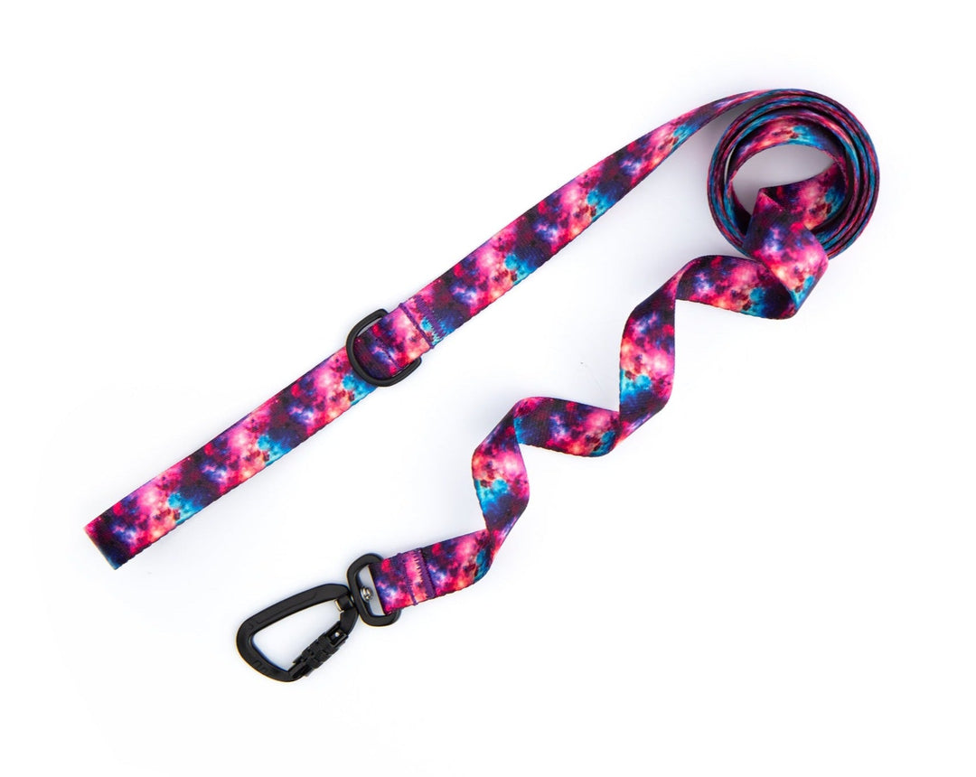 Galaxy Dog Leash With Auto-Locking Carabiner