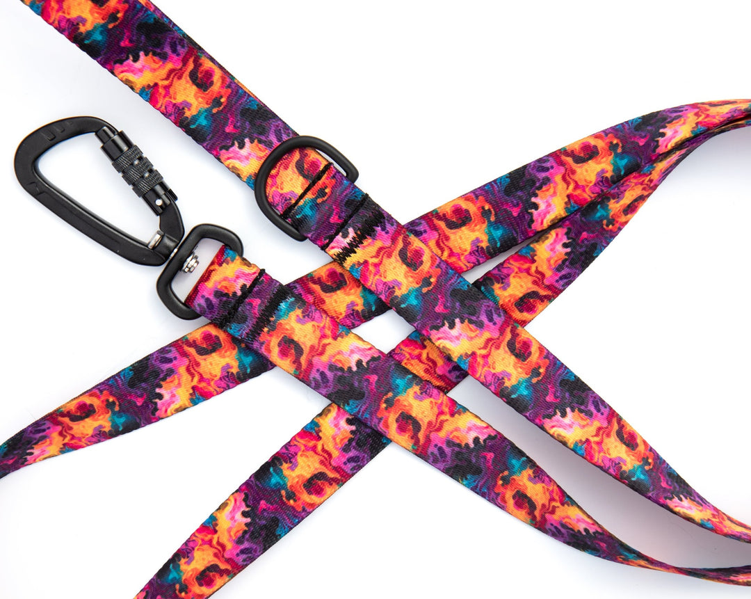 Vibrant Flames Dog Leash With Auto-Locking Carabiner