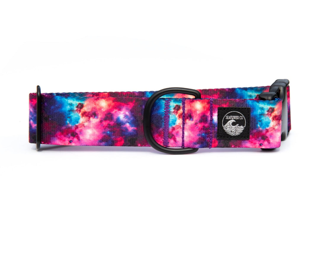 Galaxy Dog Collar | SeaFlower Co