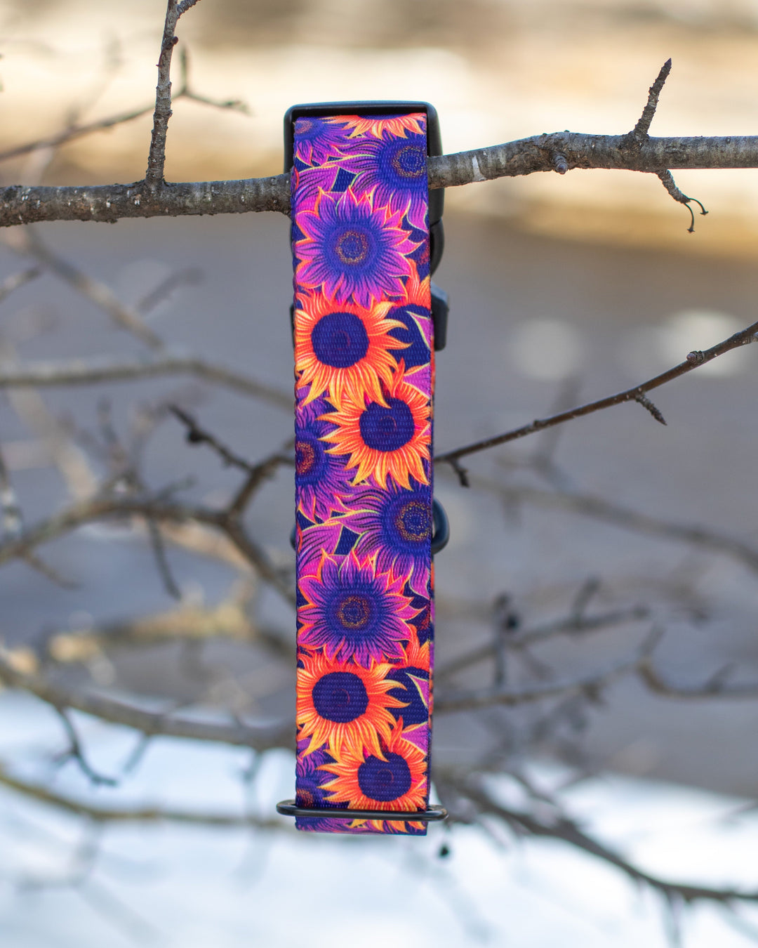 Purple Sunflower Dog Collar | Stylish & Durable Floral Dog Gear