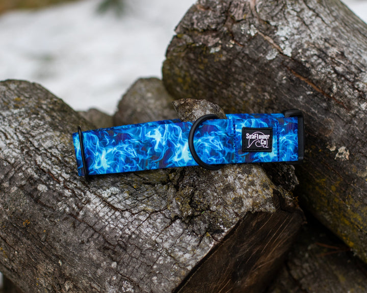 Blue Smoke Dog Collar | SeaFlower Co