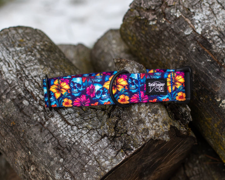 Floral Skulls Dog Collar | Tropical Pet Gear