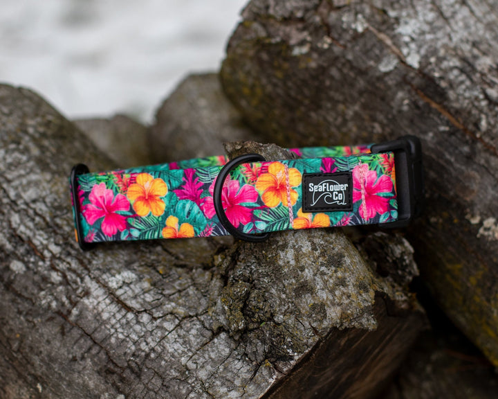 Hawaiian Floral Dog Collar | SeaFlower Co