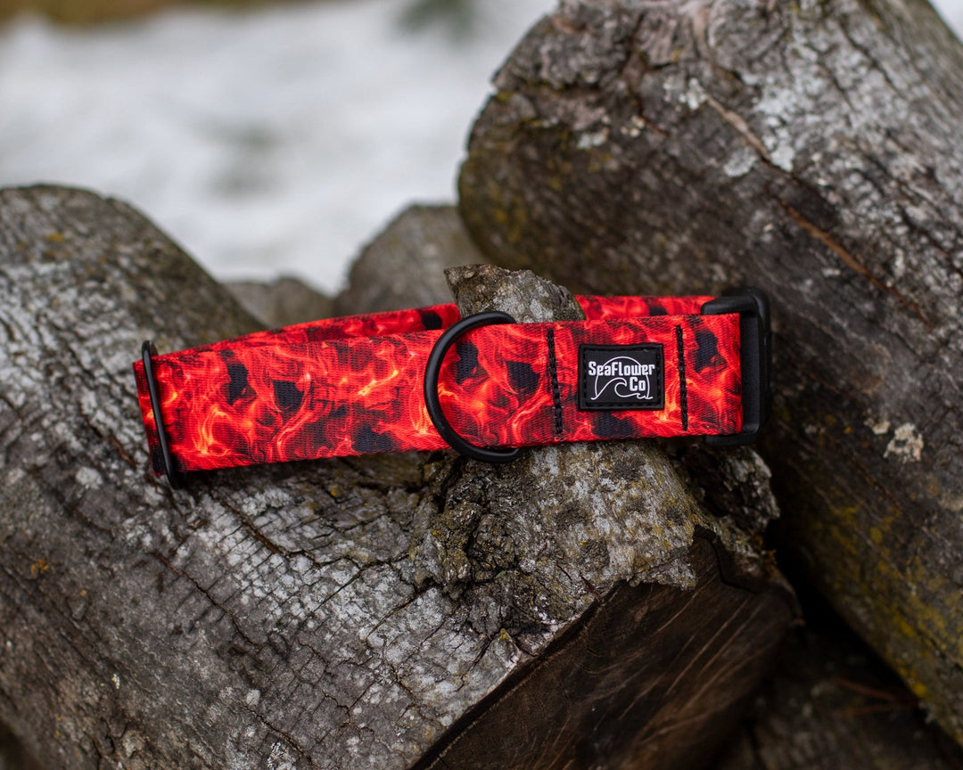Red Smoke Dog Collar | Durable Pet Collar