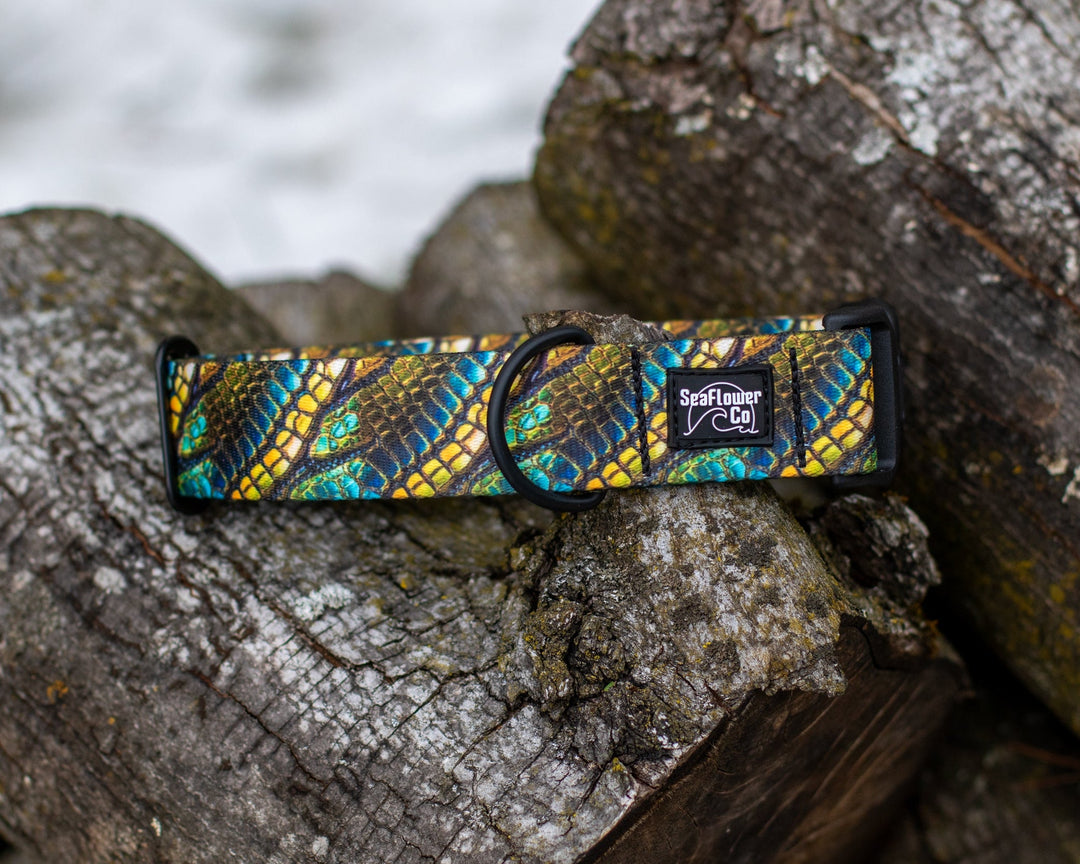 Green Dragon Scales Dog Collar | Unique Pet Gear
