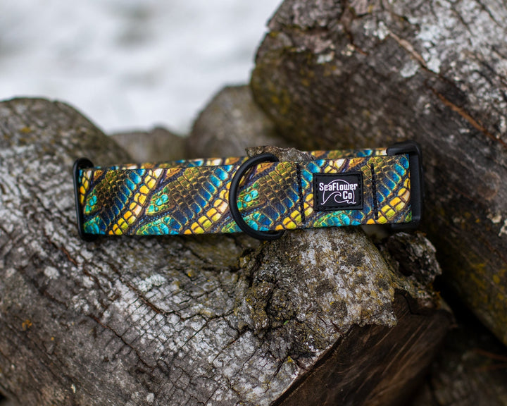 Green Dragon Scales Dog Collar | Unique Pet Gear