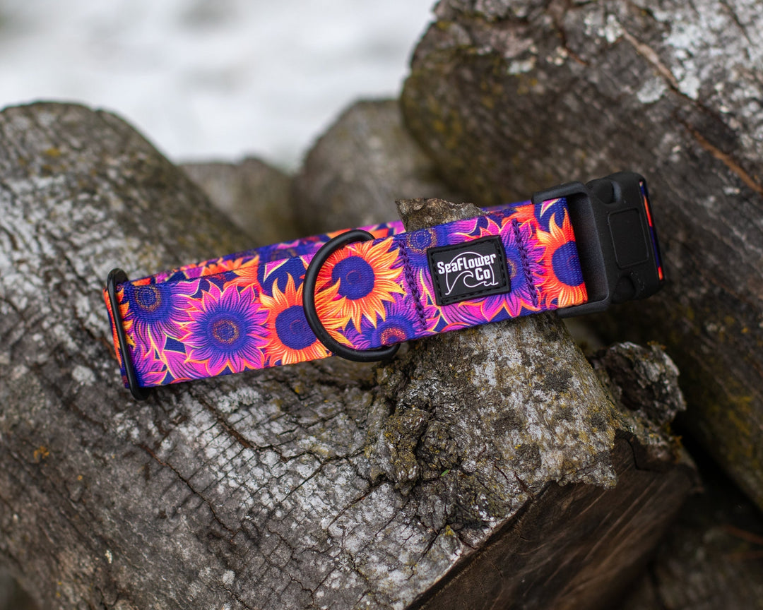 Purple Sunflower Dog Collar | Stylish & Durable Floral Dog Gear