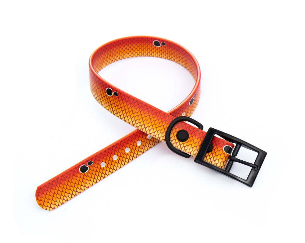 Redfish Waterproof BioThane® Dog Collar | SeaFlower Co