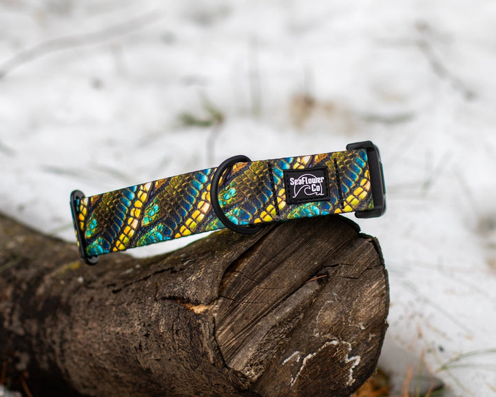 Green Dragon Scales Dog Collar | Unique Pet Gear