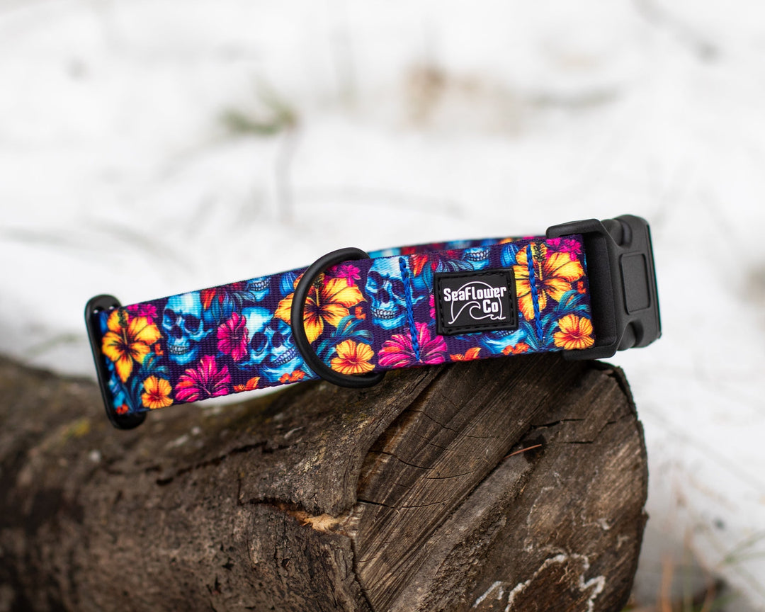 Floral Skulls Dog Collar | Tropical Pet Gear