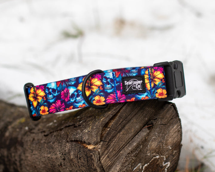 Floral Skulls Dog Collar | Tropical Pet Gear