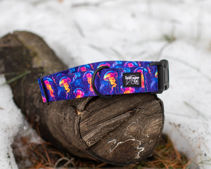 Neon Jellyfish Dog Collar | Ocean Pet Gear