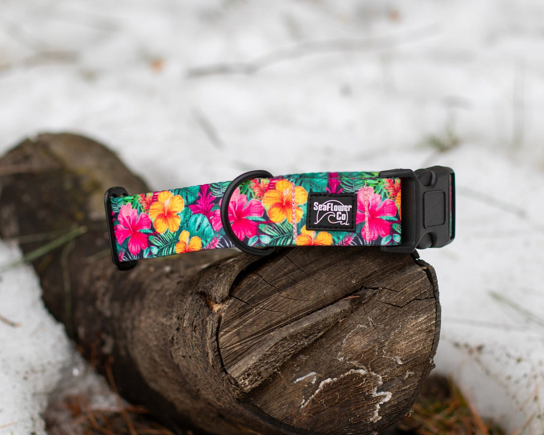 Hawaiian Floral Dog Collar | SeaFlower Co