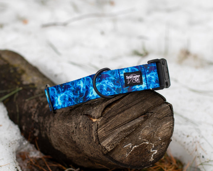 Blue Smoke Dog Collar | SeaFlower Co