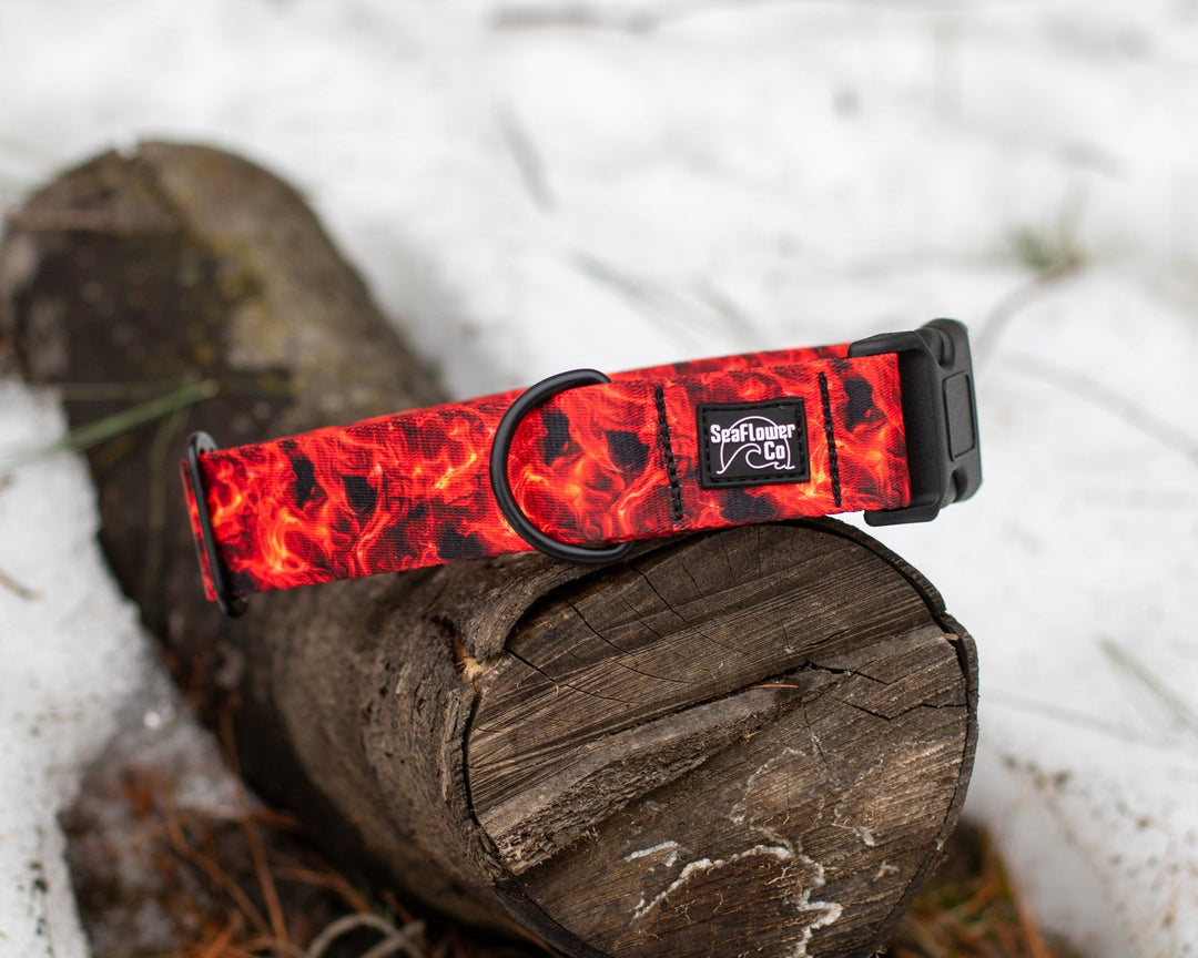 Red Smoke Dog Collar | Durable Pet Collar