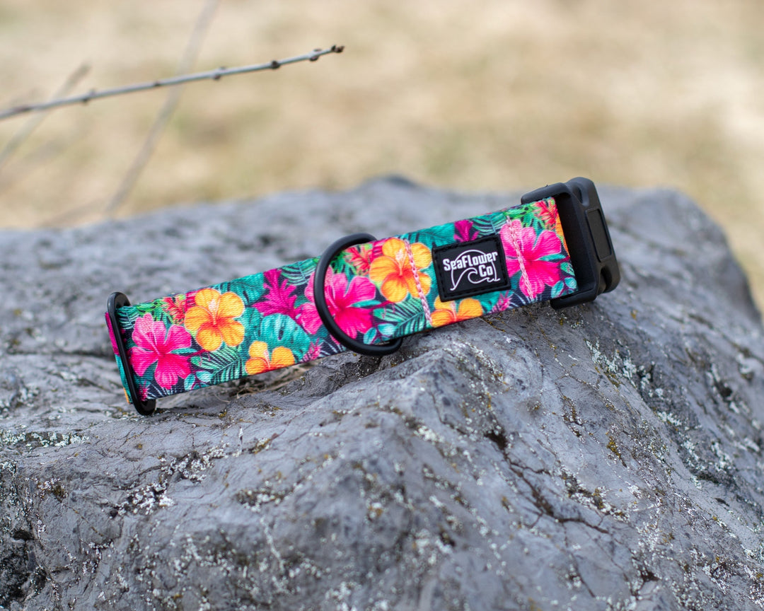 Hawaiian Floral Dog Collar | SeaFlower Co