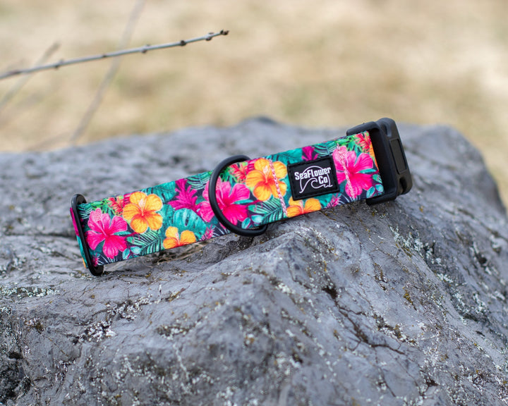 Hawaiian Floral Dog Collar | SeaFlower Co