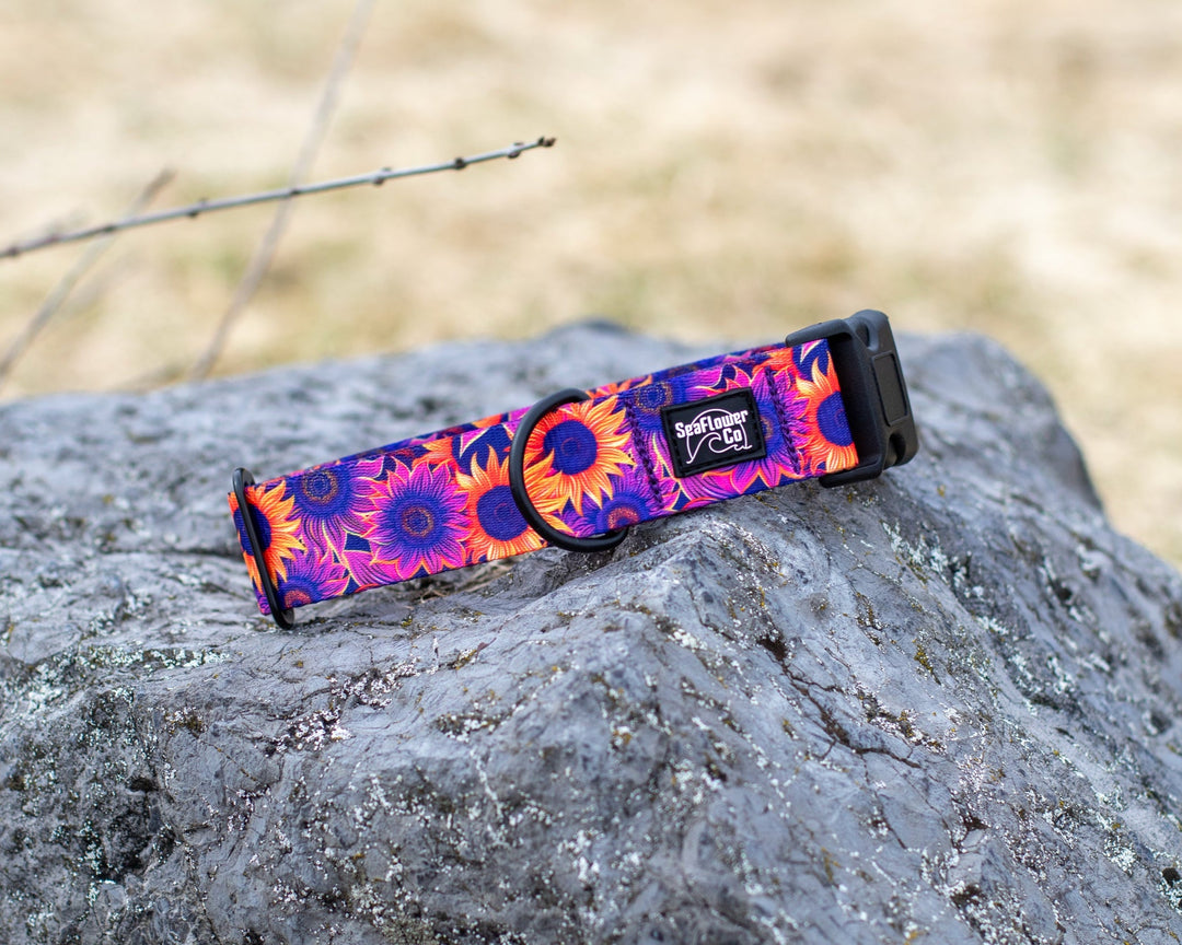 Purple Sunflower Dog Collar | Stylish & Durable Floral Dog Gear