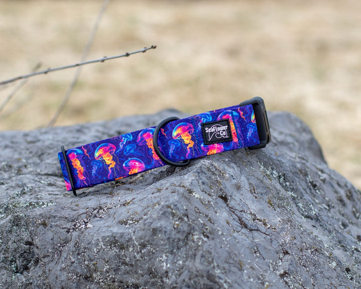 Neon Jellyfish Dog Collar | Ocean Pet Gear