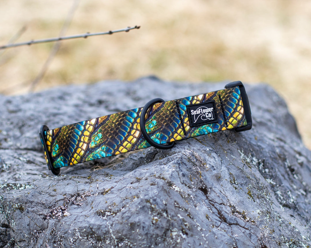 Green Dragon Scales Dog Collar | Unique Pet Gear