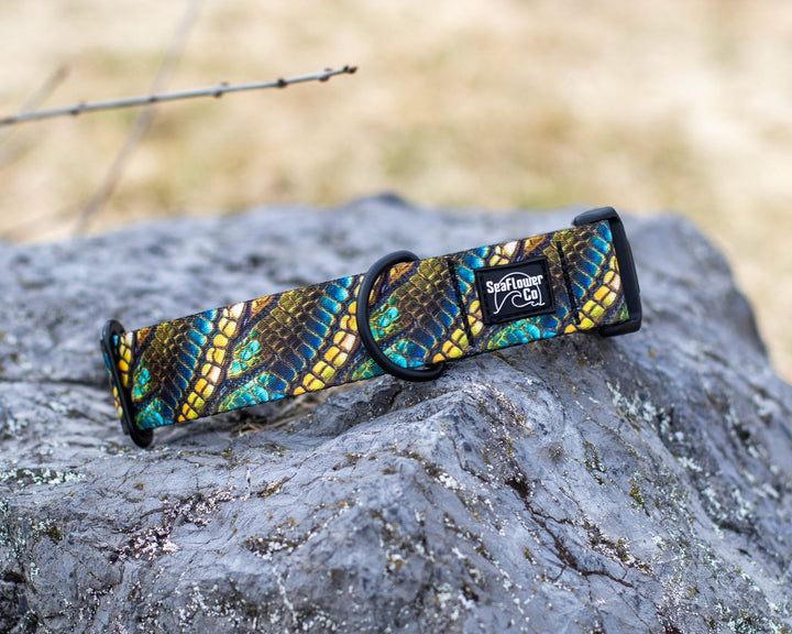 Green Dragon Scales Dog Collar | Unique Pet Gear