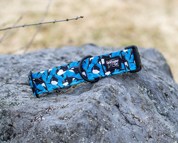 Orca Dog Collar | Stylish & Durable Ocean Pet Gear