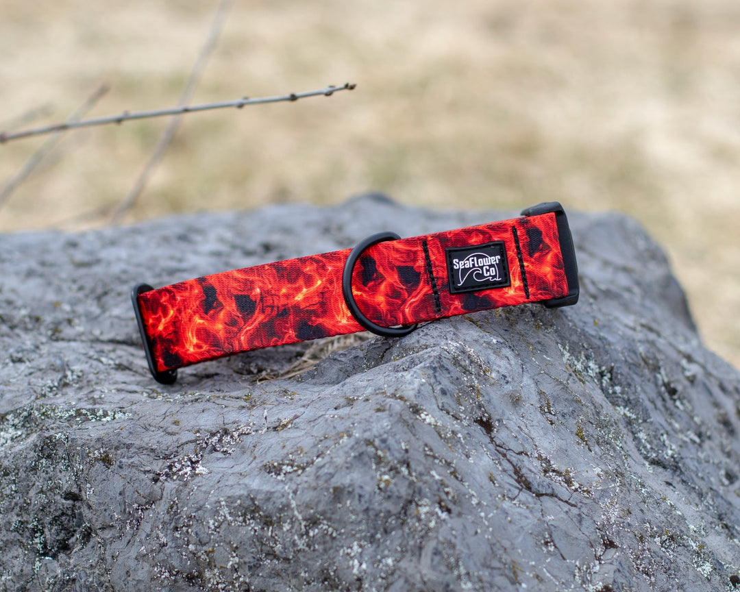 Red Smoke Dog Collar | Durable Pet Collar
