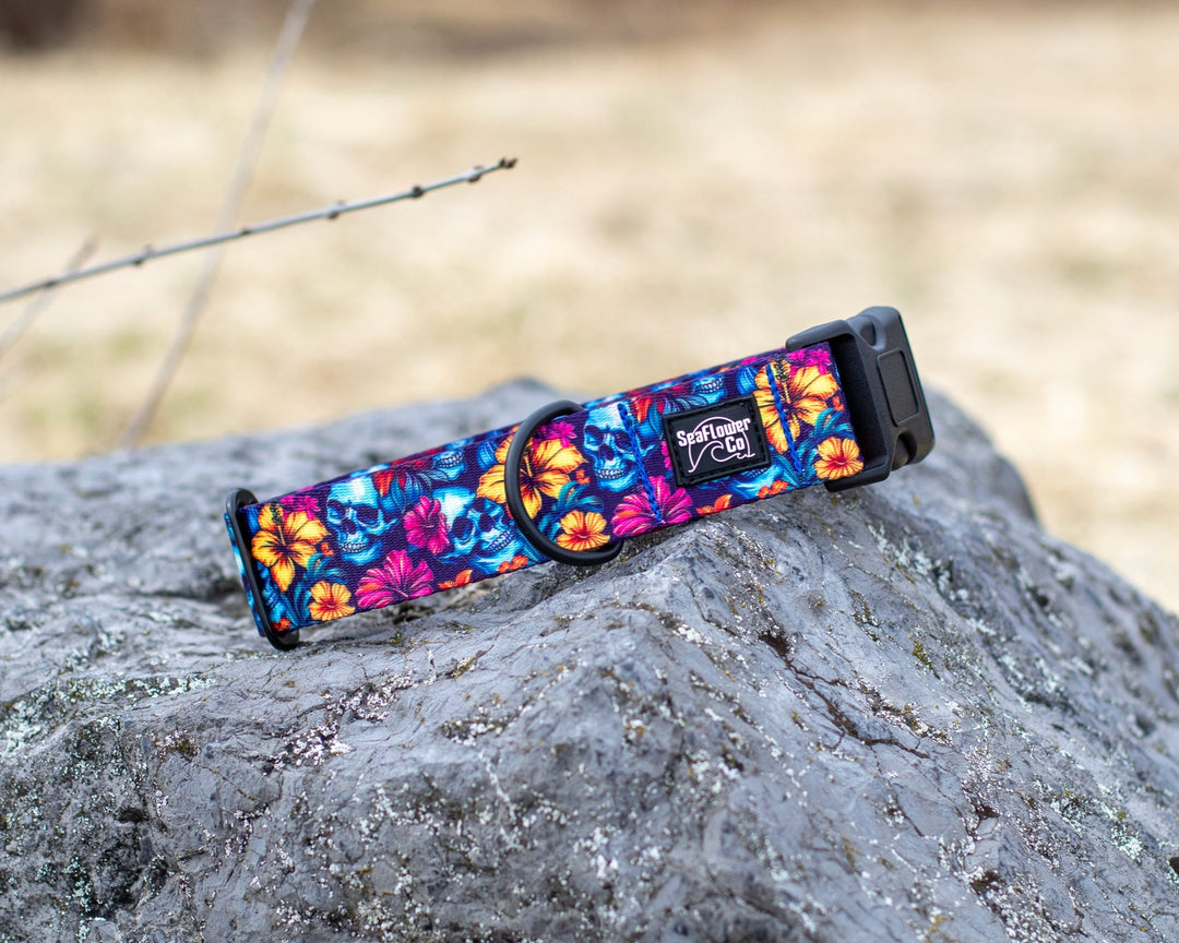 Floral Skulls Dog Collar | Tropical Pet Gear