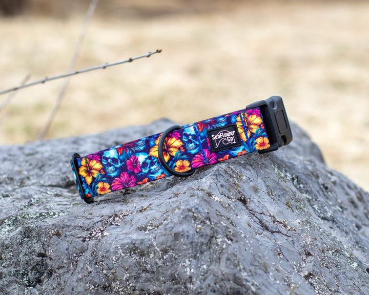 Floral Skulls Dog Collar | Tropical Pet Gear