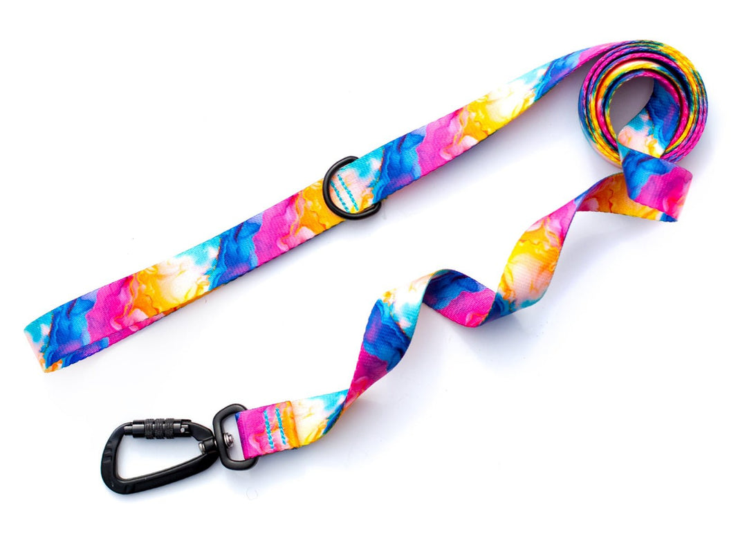 Vibrant Rainbow Dog Leash | SeaFlower Co