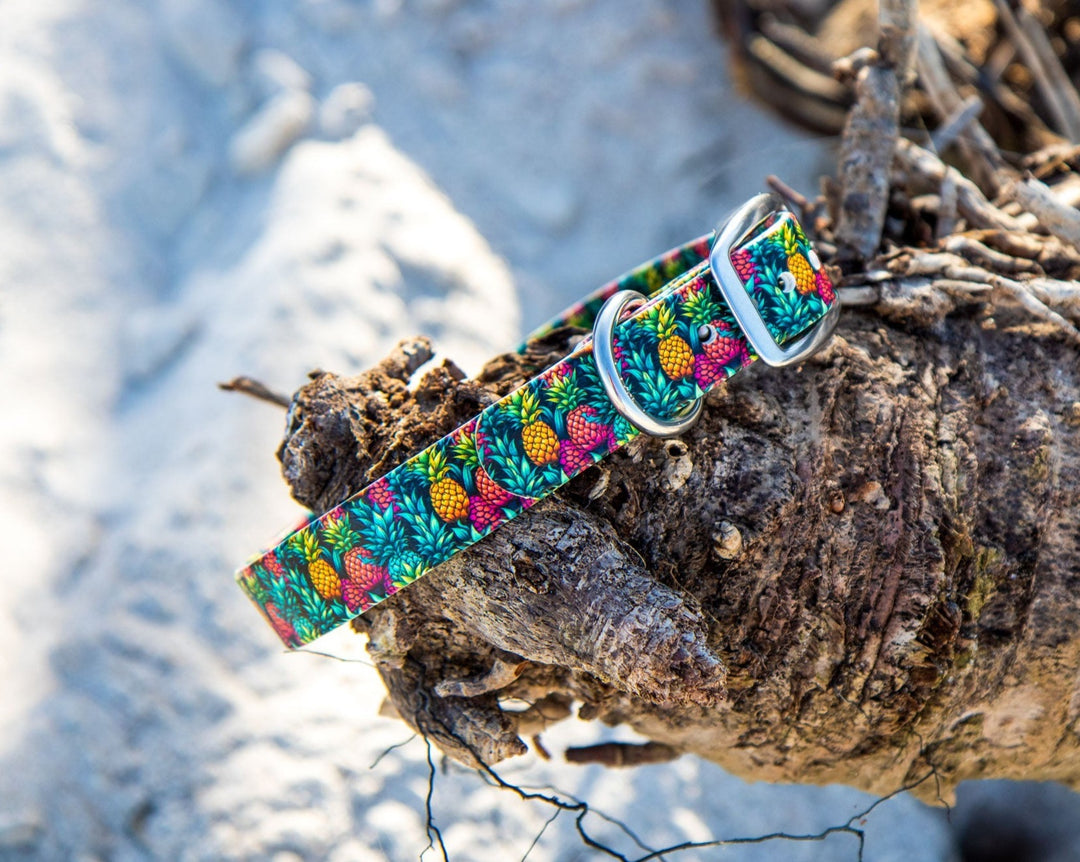 Pineapple BioThane® Dog Collar | Waterproof Pet Gear